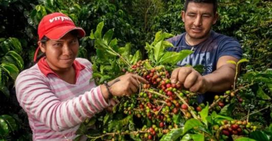 Pobreza multidimensional. / Foto: MinAgricultura.