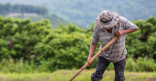 Más de 1,8 millones de hectáreas devueltas: la reforma agraria le cambia la vida a medio millón de víctimas del conflicto
