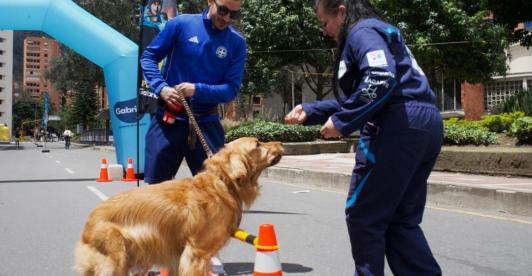 Las ciclovías de Bogotá contarán con nuevas estaciones para mascotas y sus cuidadores, con actividades de bienestar, recreación y nutrición animal disponibles desde mayo y hasta final de año.