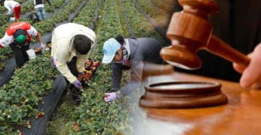 Firmantes de paz piden al Congreso para que apruebe la Jurisdicción Agraria, una deuda histórica con el campo colombiano
