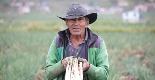 Judicatura y Gobierno urgen al Congreso aprobar la Jurisdicción Agraria antes del 20 de junio