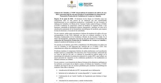 Cultivos de coca mantienen desaceleración, según Gobierno y ONU