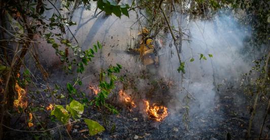 Colombia en alerta por incendios: 114 municipios bajo amenaza
