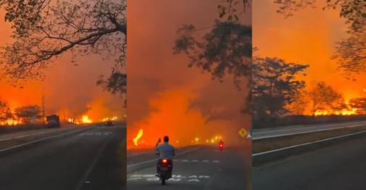 Incendios forestales en Tolima dejan cerca de 20 mil hectáreas afectadas