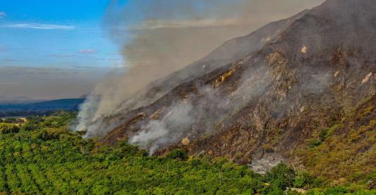 Más de $9.000 millones y ayudas para el campo: así será la recuperación del Tolima tras los incendios forestales
