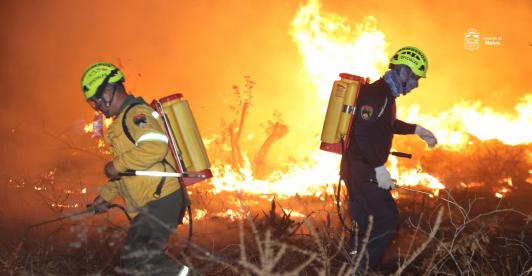 Una colilla, una fogata, un desastre: así puede prevenir incendios forestales