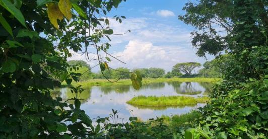 Valle del Cauca suma 2.580 hectáreas a su red de áreas protegidas