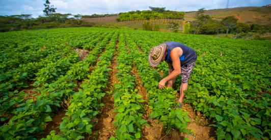 Emergencia económica por El Niño: alistan congelamiento de deudas por $55 billones para el agro