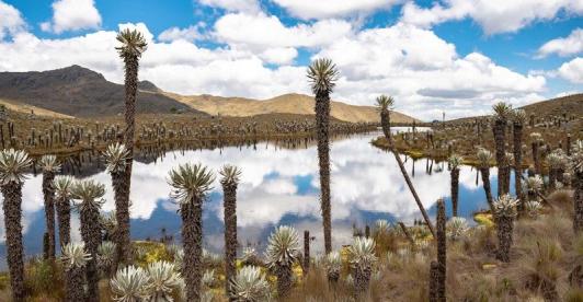 En los Andes, El Niño seca el agua de la que depende el 70 % de los colombianos
