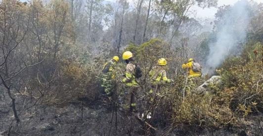 Incendio en el cerro de San Marcos está casi controlado, según confirmó la UNGRD