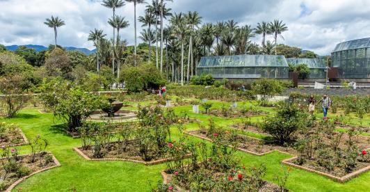 Cómo ser aliado gastronómico con el Jardín Botánico de Bogotá