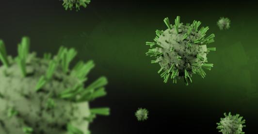 Francia reporta el primer fallecido por el virus Shamonda