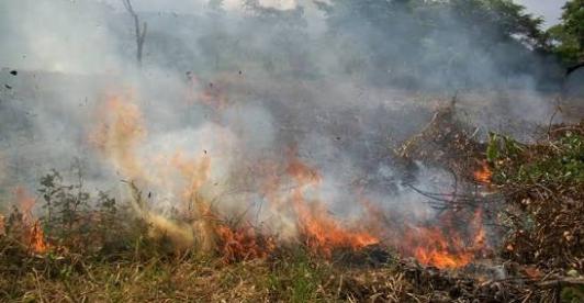 UNGRD activa plan nacional para combatir incendios forestales en 18 departamentos