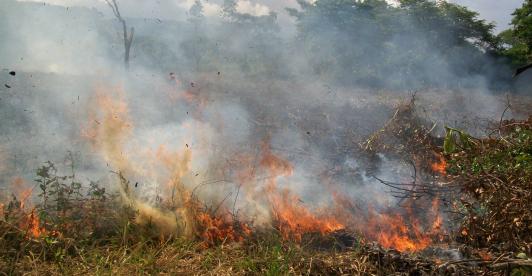 IDEAM declara fenómeno de El Niño en Colombia