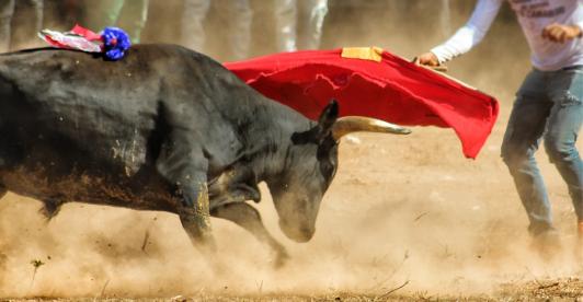 Manizales aplaza Corridas De Toros por normativa nacional antitaurina