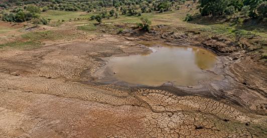 El Niño podría extenderse hasta marzo de 2027. Foto: generado con IA