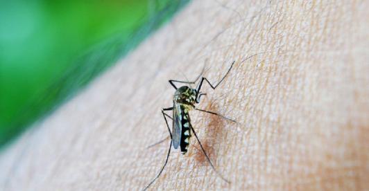 Alerta-por-incremento-de-casos-de-dengue-en-Colombia_-van-28.000-en-2023.jpg