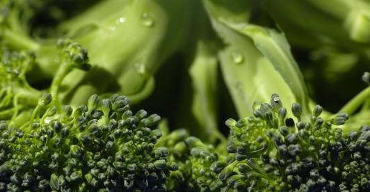 Alimentos-procesados-vs.-Alimentos-sostenibles-estas-son-las-recomendaciones.jpg