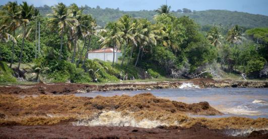 Aumento-de-temperaturas-a-nivel-mundial-un-reto-por-sortear.jpg