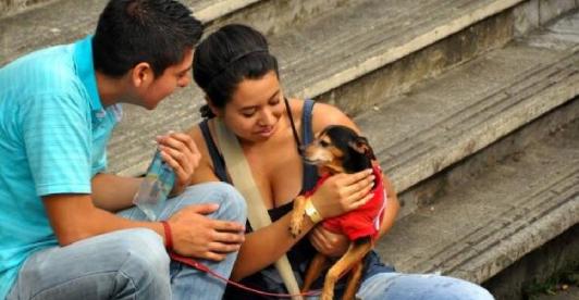 Avanzo-proyecto-ley-de-esterilizacion-gratuita-para-gatos-y-perros.jpg