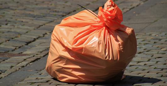 Basura.jpg