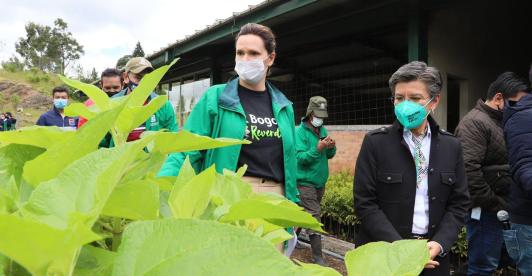 Bogota-siembra-arboles.jpg