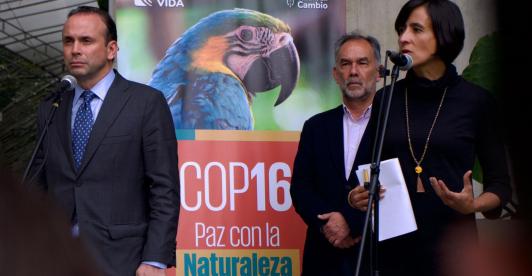 COMITE-COP16.jpeg