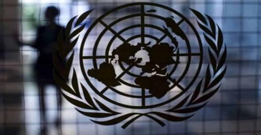 COP27-declaracion-de-la-ONU.jpg