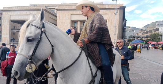 Caballo-en-el-Congreso.jpeg