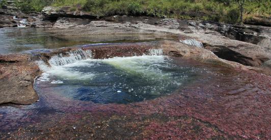 Cano-Cristales-Cierre.jpg
