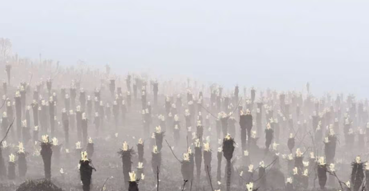 Captura-de-Pantalla-2024-02-23-a-las-10.15.35-a.-m.png