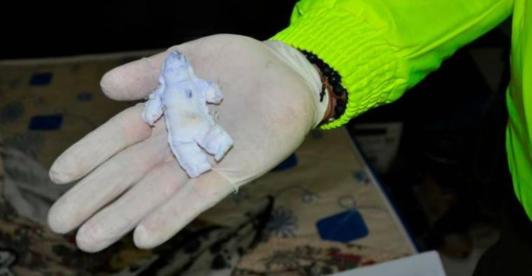 Caso-Maximiliano-Tabares-esto-dijo-la-tia-del-nino.jpg