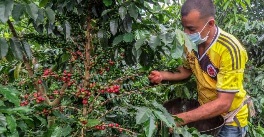 Colombia_cafe_Exportaciones.jpg