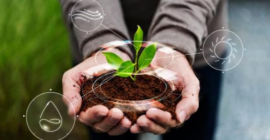 Compania-colombiana-apoya-a-otras-empresas-que-le-apuestan-a-la-sostenibilidad.jpg