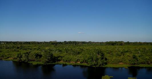 Deforestacion-Amazonia-Agosto.jpg