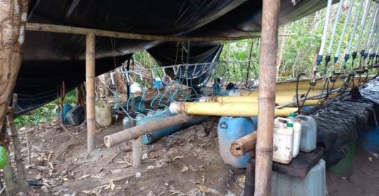 Destruyeron-laboratorio-de-coca-en-el-pacifico-colombiano.jpg