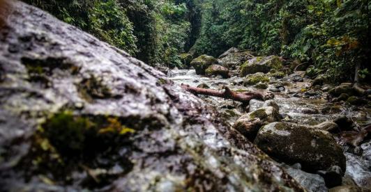 Dia-Mundial-del-Medioambiente-conoce-mas-sobre-el-cambio-climatico.jpg