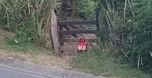 ELN-Colprensa.jpg