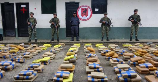 Ejercito-Nacional-destruyo-mas-de-3-toneladas-de-marihuana-1.jpeg
