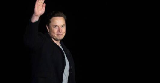 Elon-Musk-suspende-compra-Twitter.jpg