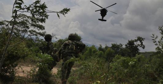 Estados-Unidos-suspendio-monitoreo-de-cultivos-de-coca-en-Colombia-1.jpg