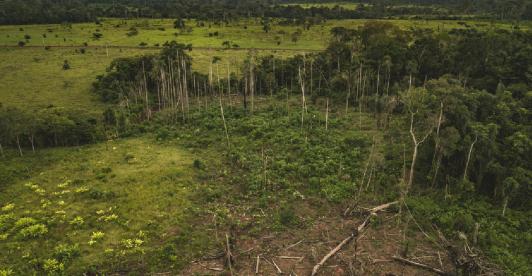 Estos-seran-los-retos-ambientales-de-Colombia-para-el-2023.jpg