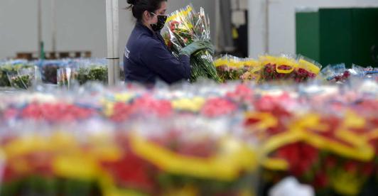 Flores-Colombianas-AFP.jpg