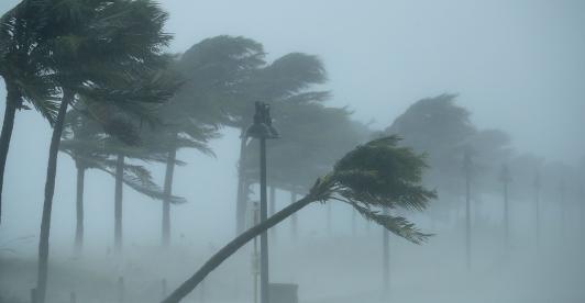 Huracan-Irma-WWF.jpg