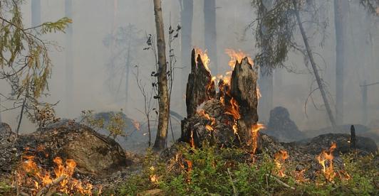 Incendios-1.jpg