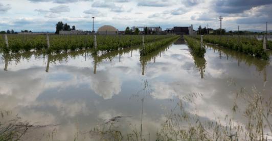 Inundaciones-en-el-norte-de-Italia-dejan-13-muertos-y-pueblos-devastados-1.jpg
