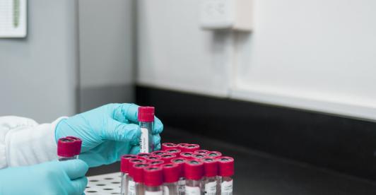Laboratorio.jpg