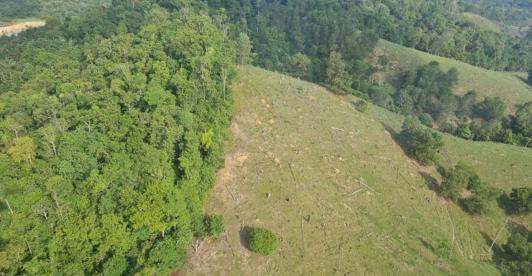 Mas-de-tres-millones-de-hectareas-de-bosque-han-sido-deforestadas-en-Colombia.jpg