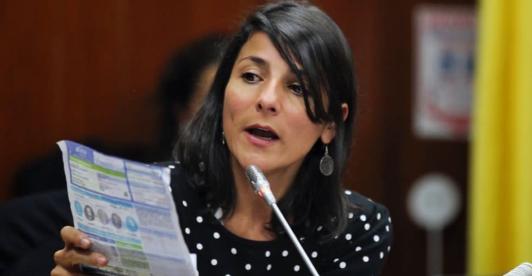 Ministra-de-Minas-Irene-Velez.jpg