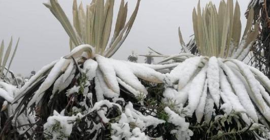 Nevada-Paramo-de-Sumapaz.jpg